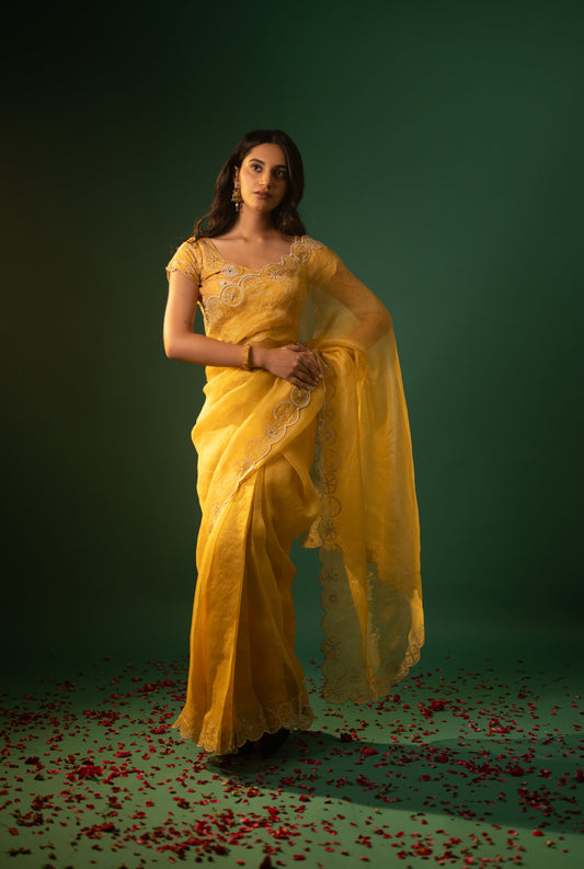 Embroidered Organza Saree