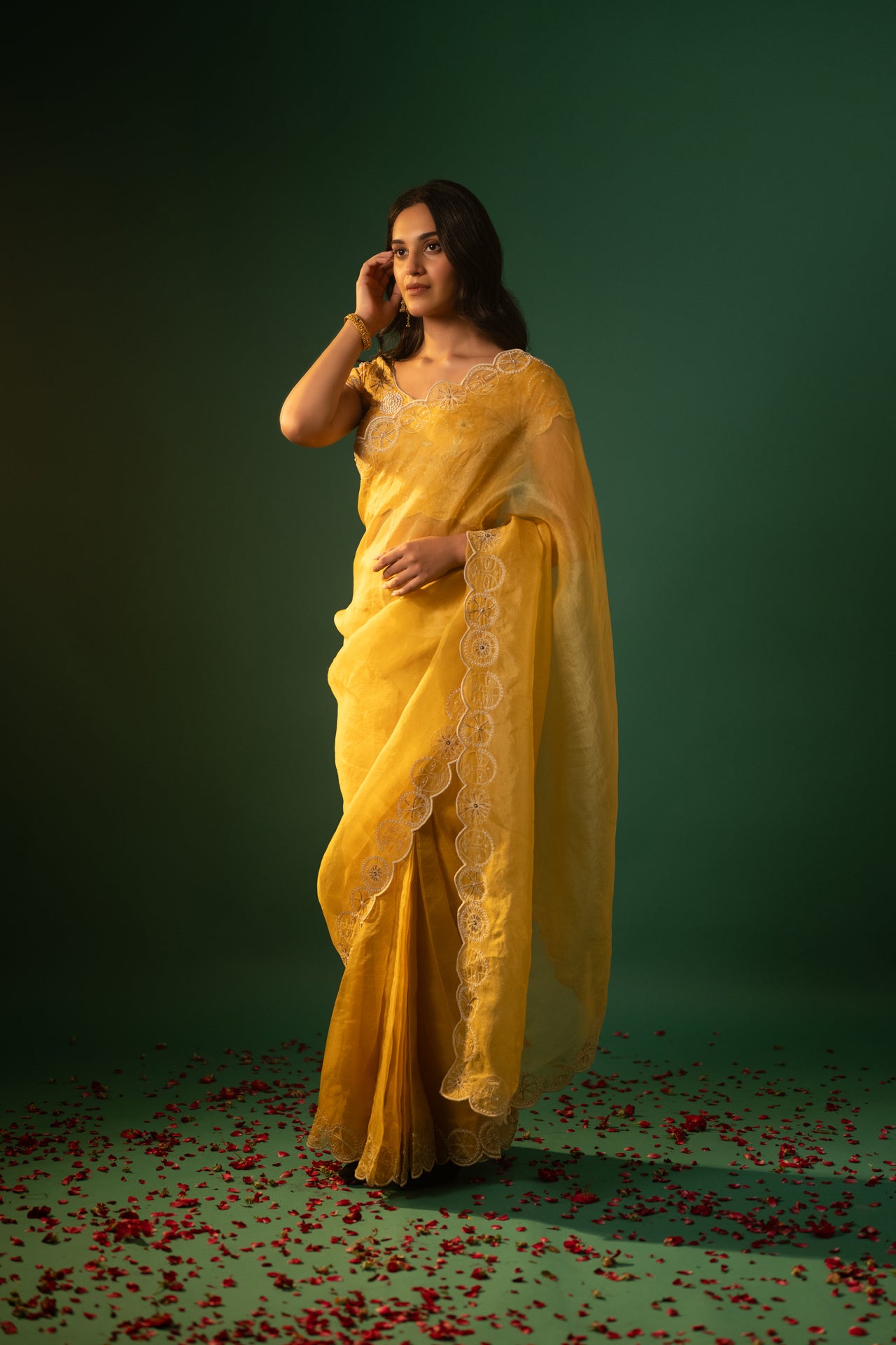 Embroidered Organza Saree