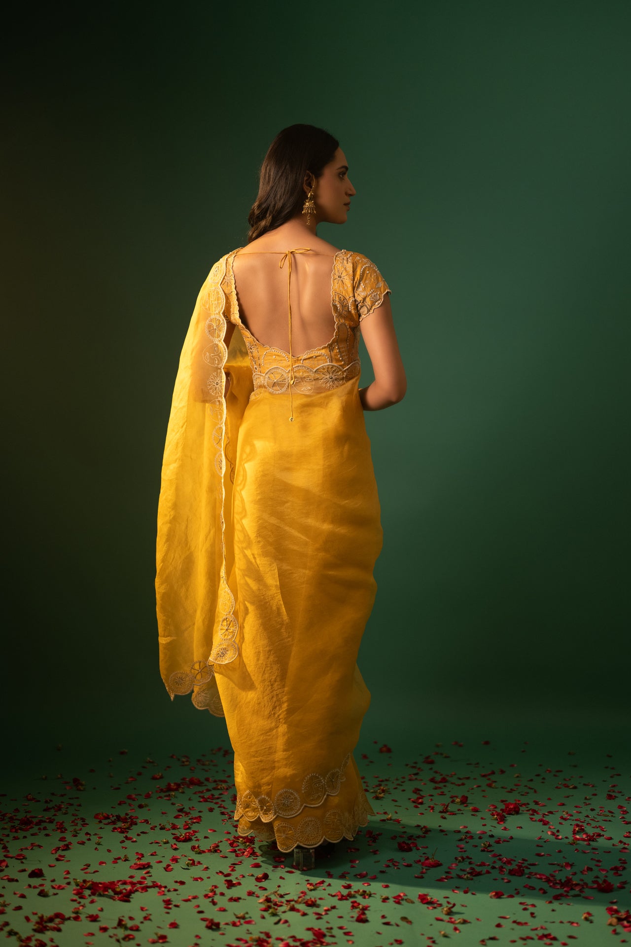 Embroidered Organza Saree