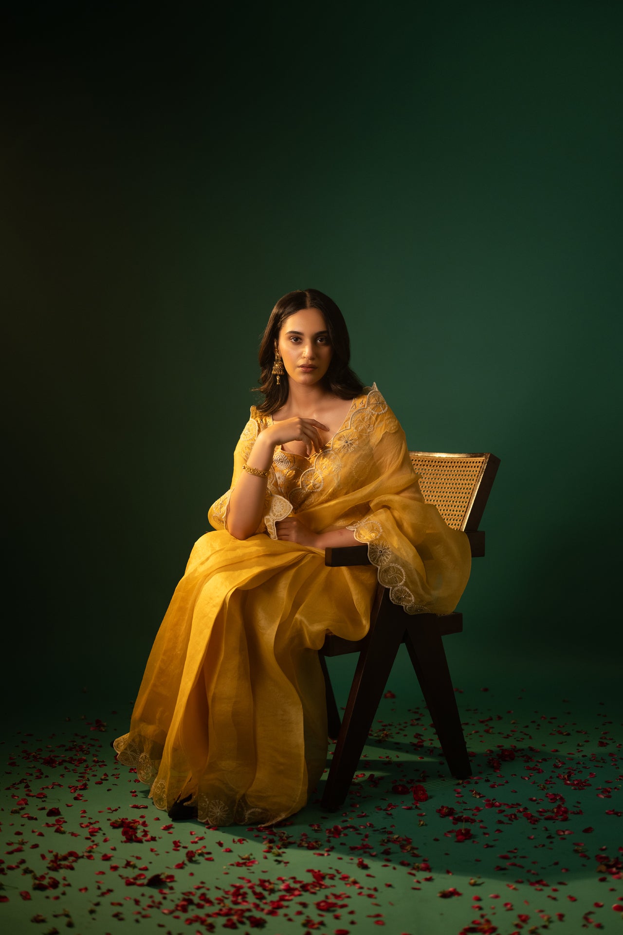 Embroidered Organza Saree