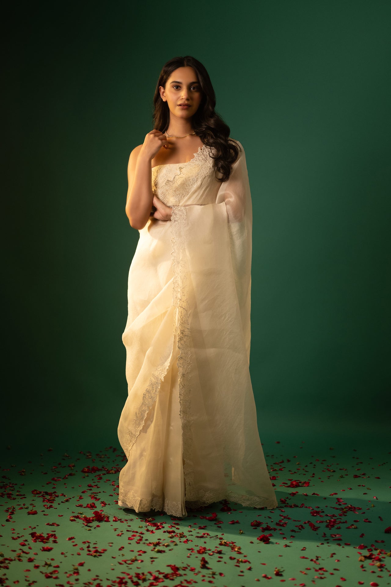 Organza Dori work Saree