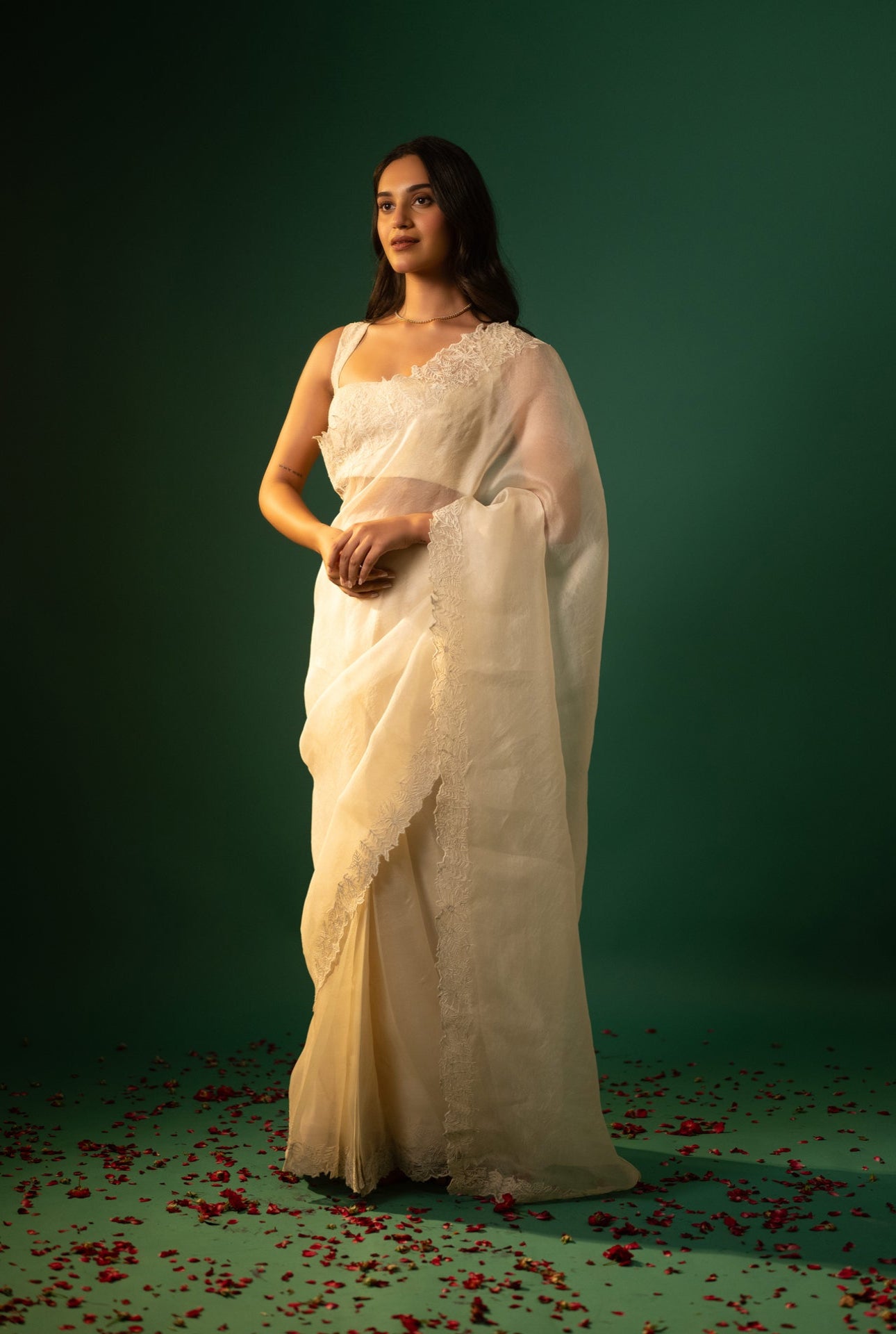 Organza Dori work Saree
