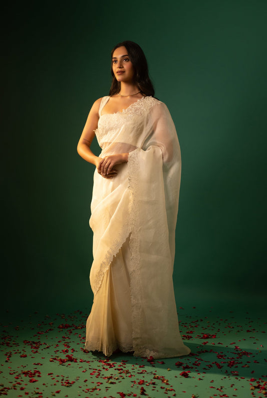 Organza Dori work Saree