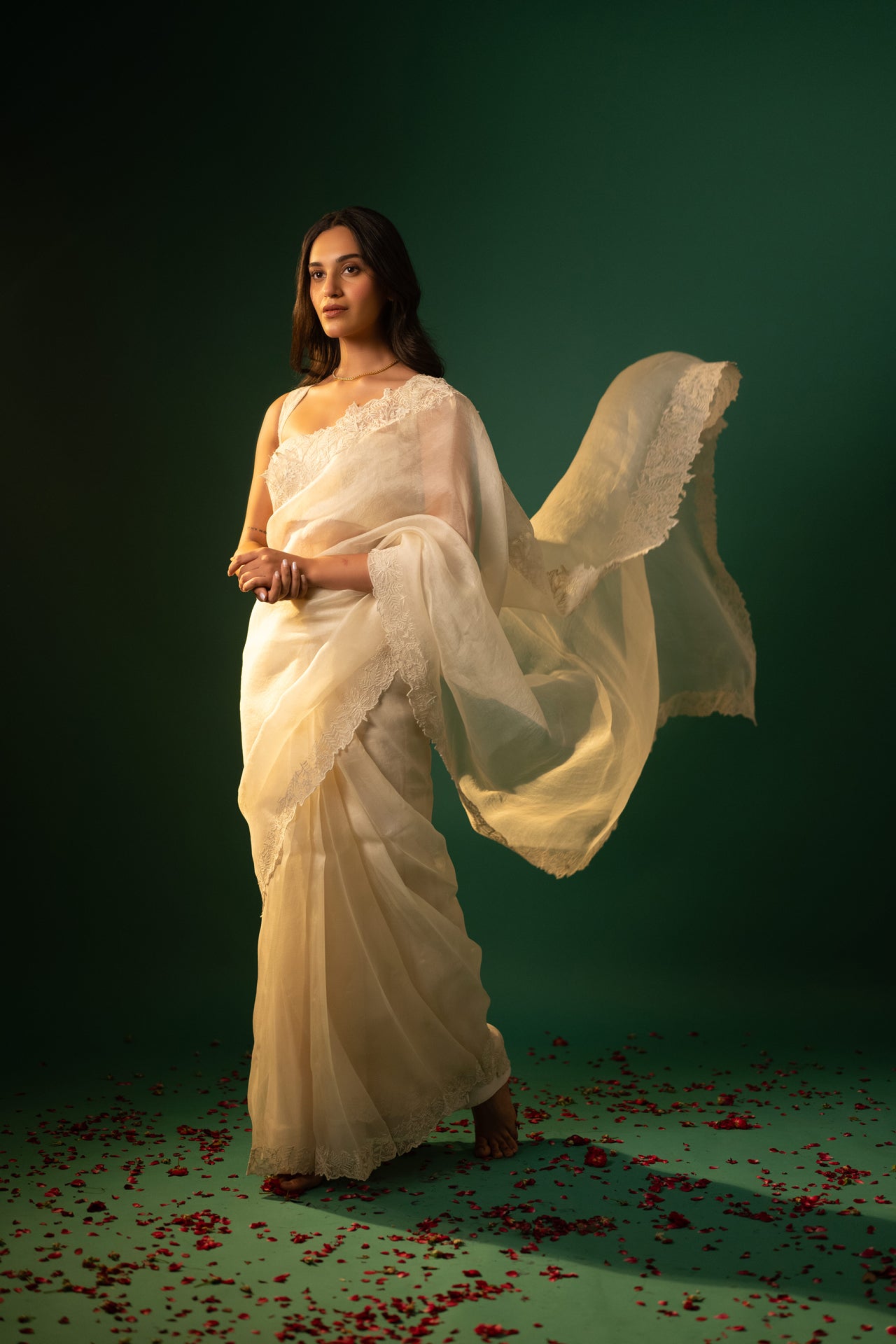 Organza Dori work Saree