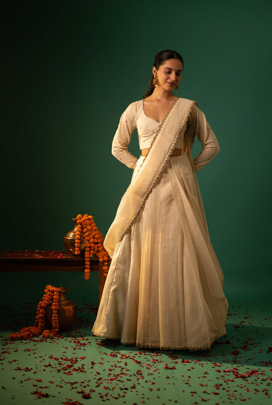 Brocade Lehenga with Hand Embroidered Dupatta and Blouse