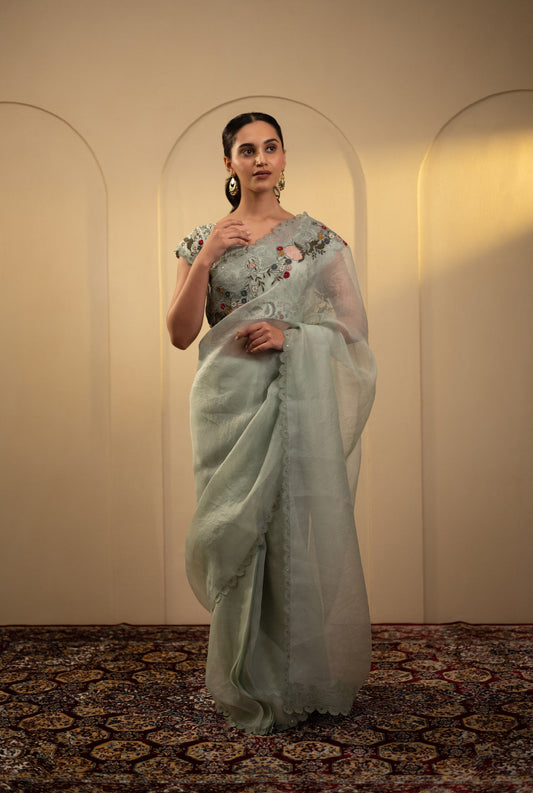 Embroidered Organza Saree