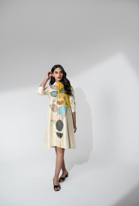Silk Dress with Applique and Thread Work