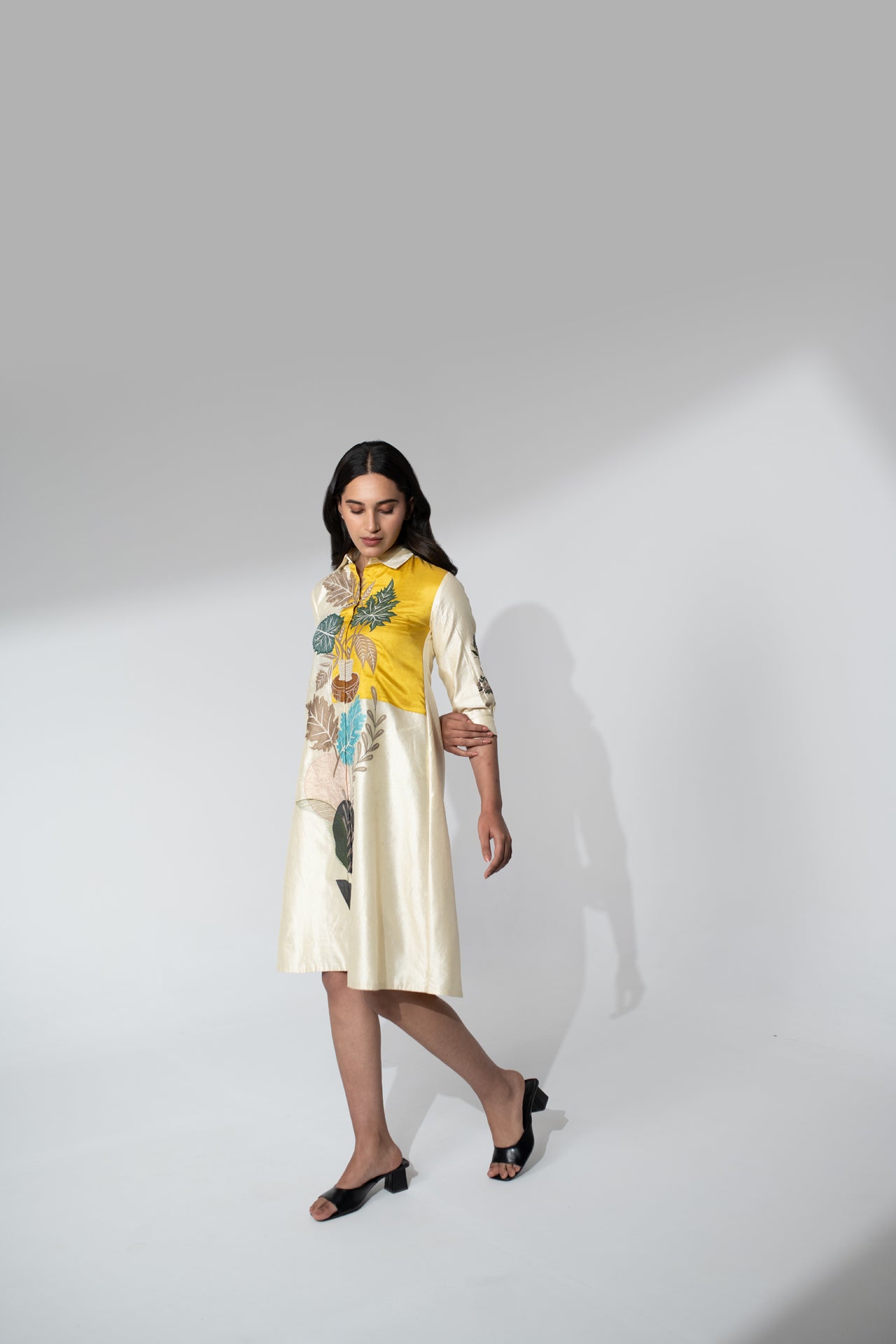 Silk Dress with Applique and Thread Work