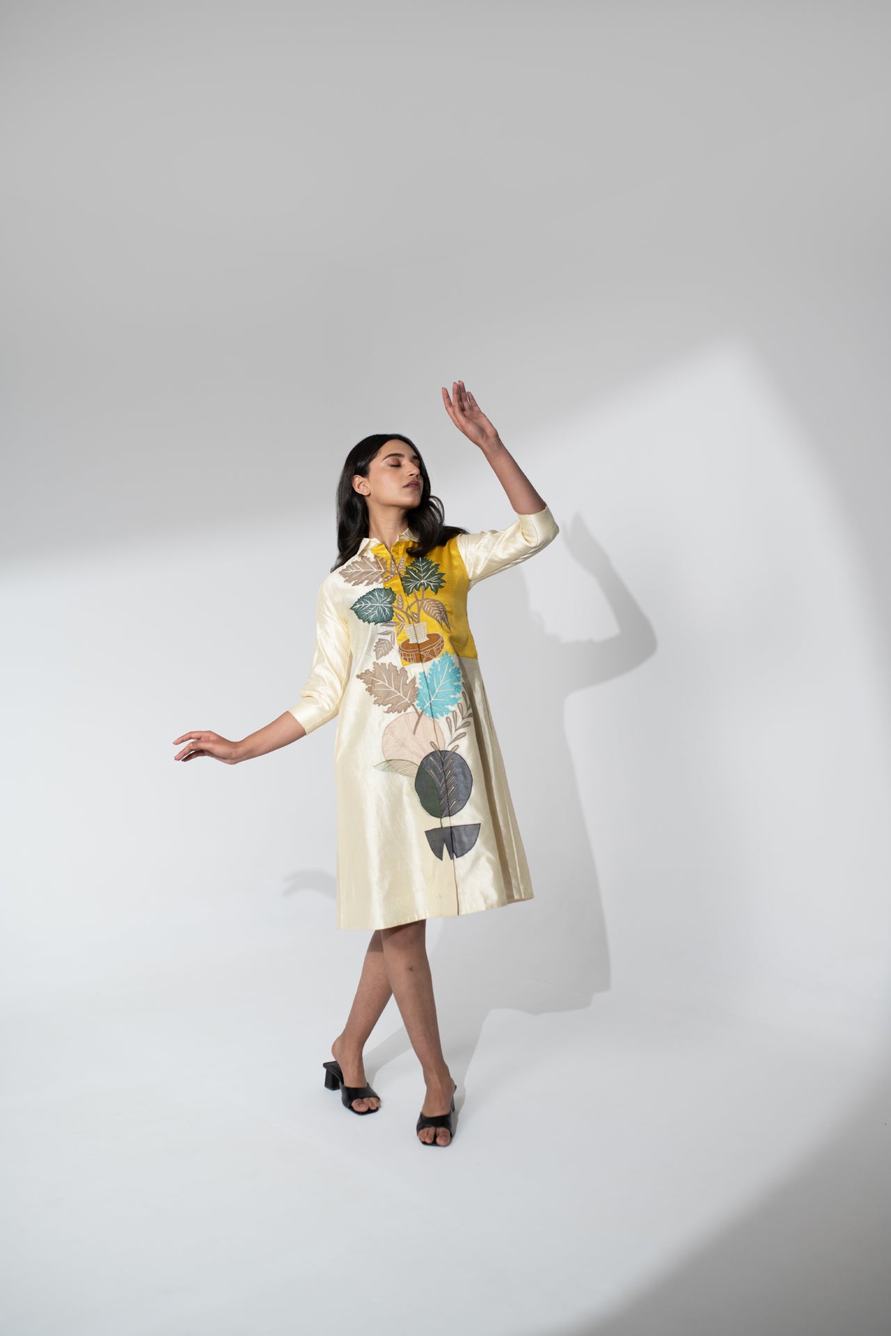 Silk Dress with Applique and Thread Work