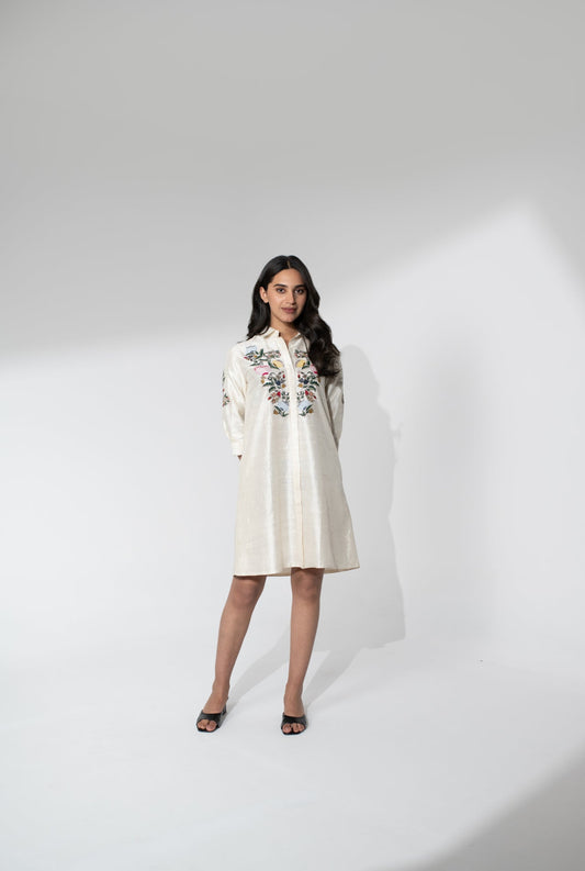 Hand Embroidered Raw Silk Dress with Thread Detailing