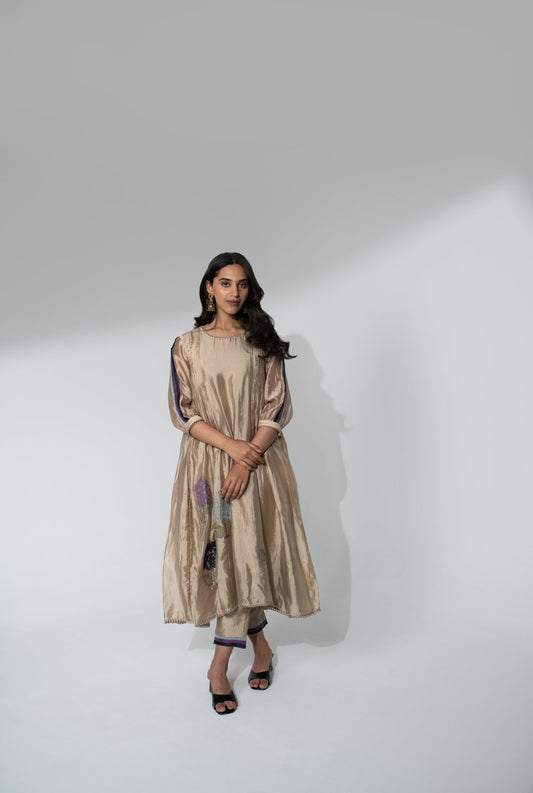 Suit with Applique Work & Organza Dupatta